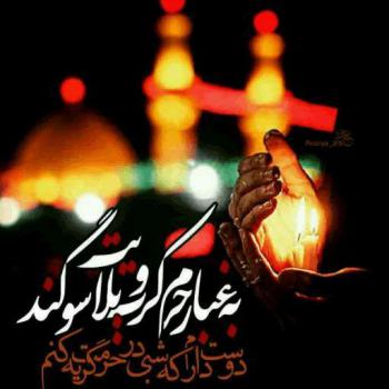 محمد فصولی زائر کرب و بلا حق شفاعت دارد